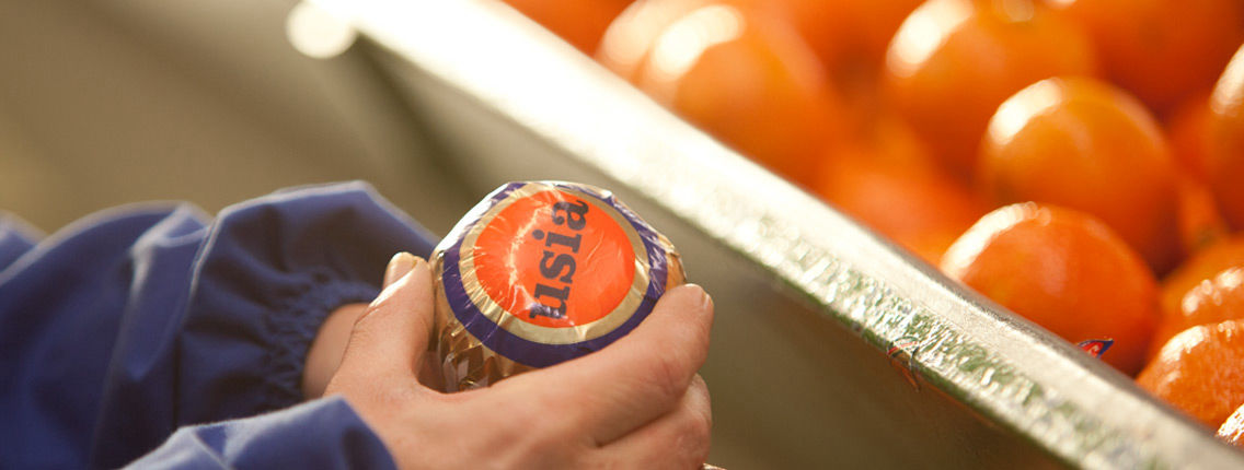 Naranjas del mediterraneo usia